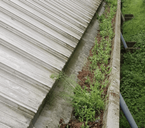 Happy customers in Hartley Wintney who trust The Roof Moss Cleaners for gutter cleaning services
