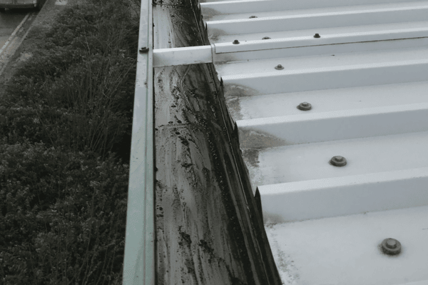 Commercial gutter cleaning specialists in Hartley Wintney